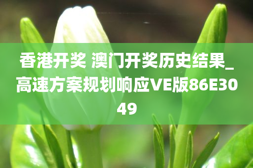 香港开奖 澳门开奖历史结果_高速方案规划响应VE版86E3049