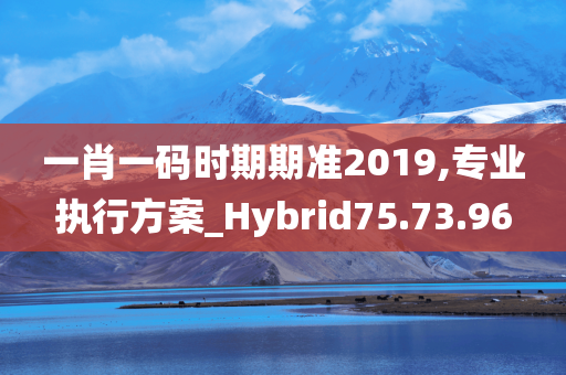 一肖一码时期期准2019,专业执行方案_Hybrid75.73.96