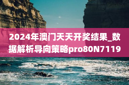 2024年澳门天天开奖结果_数据解析导向策略pro80N7119