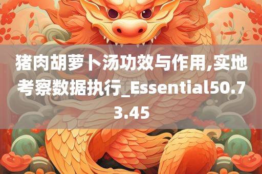 猪肉胡萝卜汤功效与作用,实地考察数据执行_Essential50.73.45