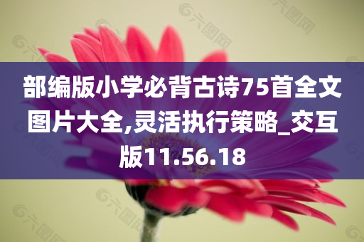 部编版小学必背古诗75首全文图片大全,灵活执行策略_交互版11.56.18