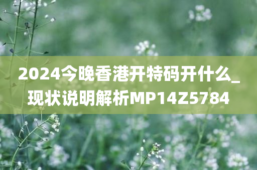 2024今晚香港开特码开什么_现状说明解析MP14Z5784