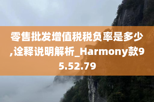 零售批发增值税税负率是多少,诠释说明解析_Harmony款95.52.79