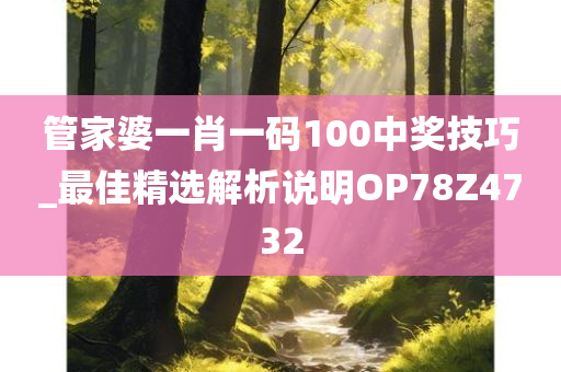 管家婆一肖一码100中奖技巧_最佳精选解析说明OP78Z4732