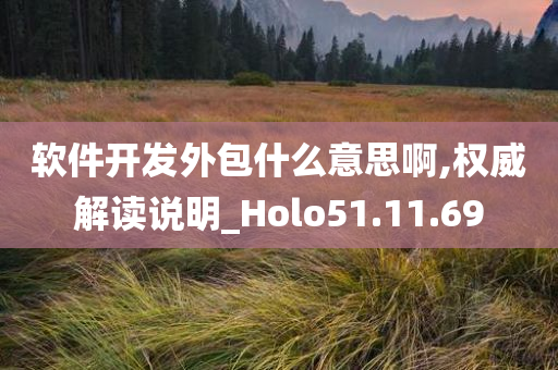 软件开发外包什么意思啊,权威解读说明_Holo51.11.69