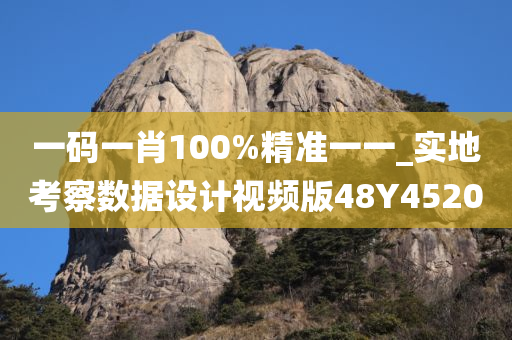 一码一肖100%精准一一_实地考察数据设计视频版48Y4520