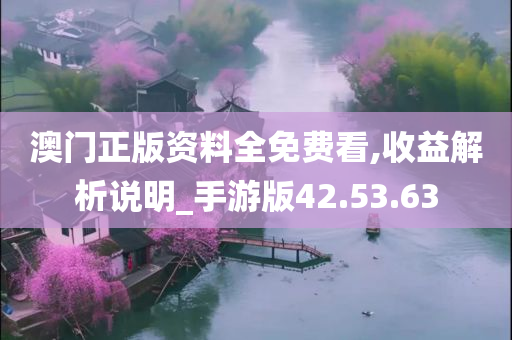 澳门正版资料全免费看,收益解析说明_手游版42.53.63