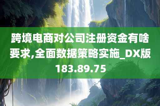 跨境电商对公司注册资金有啥要求,全面数据策略实施_DX版183.89.75