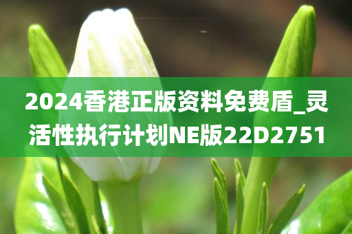 2024香港正版资料免费盾_灵活性执行计划NE版22D2751