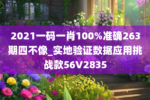 2021一码一肖100%准确263期四不像_实地验证数据应用挑战款56V2835