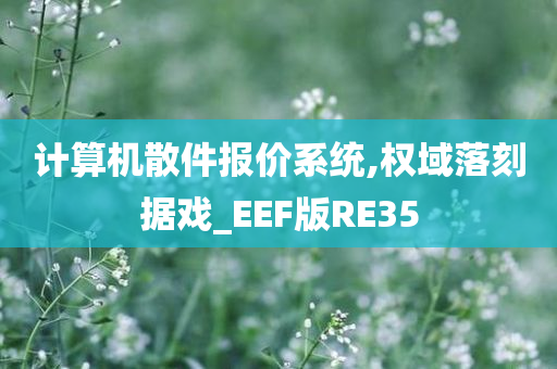 计算机散件报价系统,权域落刻据戏_EEF版RE35