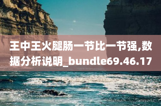 王中王火腿肠一节比一节强,数据分析说明_bundle69.46.17