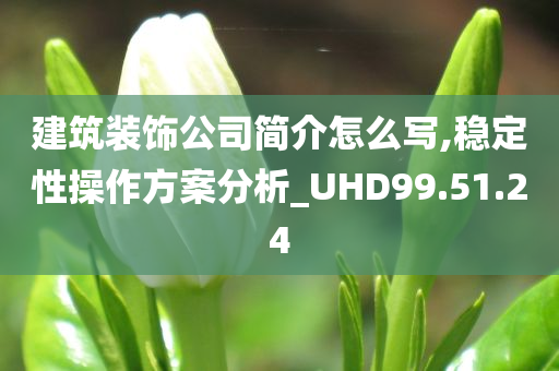 建筑装饰公司简介怎么写,稳定性操作方案分析_UHD99.51.24