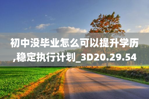 初中没毕业怎么可以提升学历,稳定执行计划_3D20.29.54