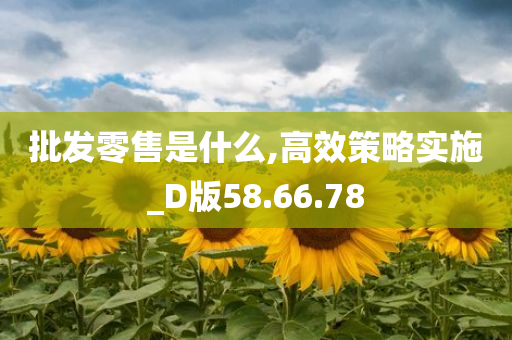 批发零售是什么,高效策略实施_D版58.66.78