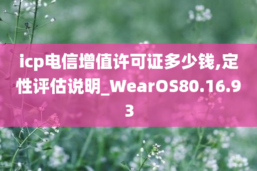 icp电信增值许可证多少钱,定性评估说明_WearOS80.16.93