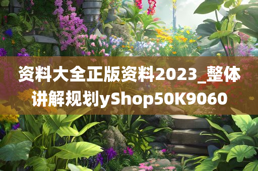 资料大全正版资料2023_整体讲解规划yShop50K9060