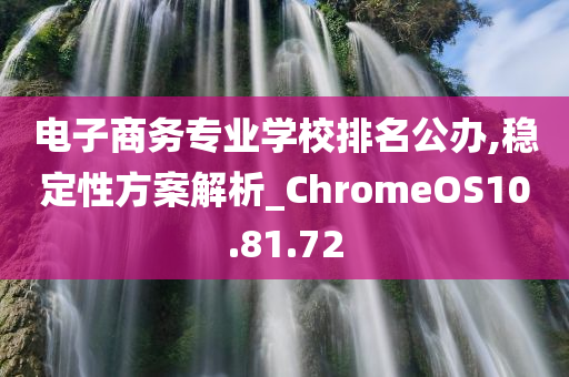 电子商务专业学校排名公办,稳定性方案解析_ChromeOS10.81.72