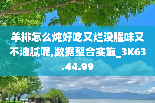 羊排怎么炖好吃又烂没腥味又不油腻呢,数据整合实施_3K63.44.99