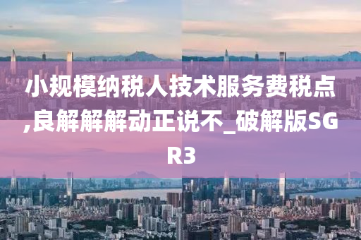 小规模纳税人技术服务费税点,良解解解动正说不_破解版SGR3