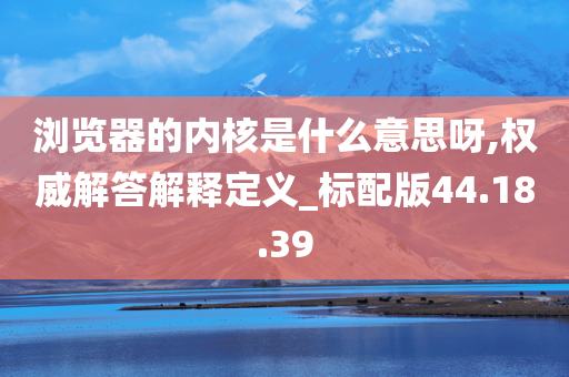 浏览器的内核是什么意思呀,权威解答解释定义_标配版44.18.39