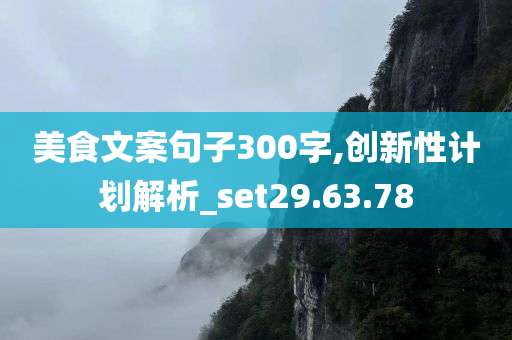 美食文案句子300字,创新性计划解析_set29.63.78