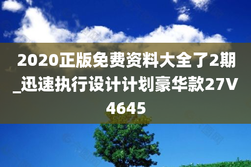 2020正版免费资料大全了2期_迅速执行设计计划豪华款27V4645