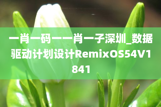 一肖一码一一肖一子深圳_数据驱动计划设计RemixOS54V1841