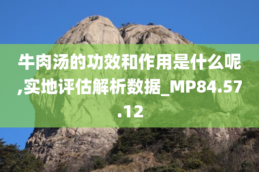 牛肉汤的功效和作用是什么呢,实地评估解析数据_MP84.57.12