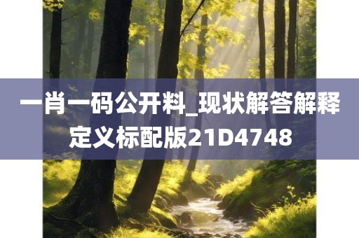 一肖一码公开料_现状解答解释定义标配版21D4748