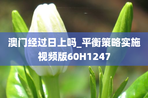 澳门经过日上吗_平衡策略实施视频版60H1247