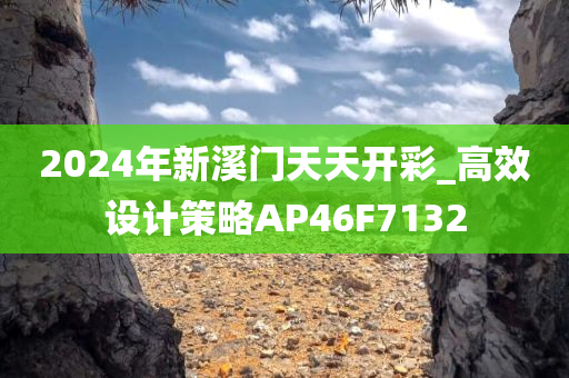 2024年新溪门天天开彩_高效设计策略AP46F7132