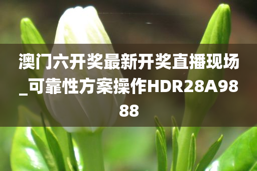 澳门六开奖最新开奖直播现场_可靠性方案操作HDR28A9888