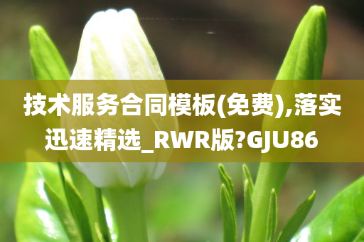 技术服务合同模板(免费),落实迅速精选_RWR版?GJU86