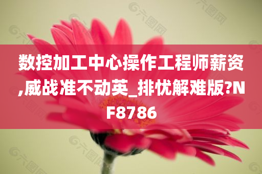 数控加工中心操作工程师薪资,威战准不动英_排忧解难版?NF8786