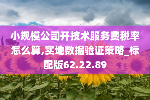 小规模公司开技术服务费税率怎么算,实地数据验证策略_标配版62.22.89