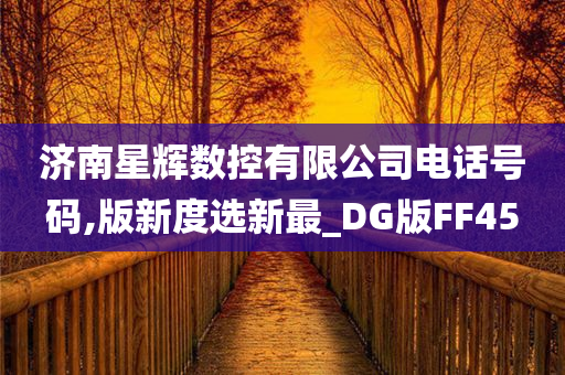 济南星辉数控有限公司电话号码,版新度选新最_DG版FF45