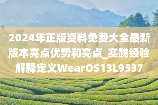 2024年正版资料免费大全最新版本亮点优势和亮点_实践经验解释定义WearOS13L9537