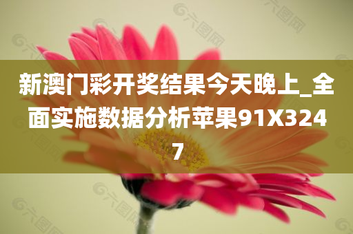 新澳门彩开奖结果今天晚上_全面实施数据分析苹果91X3247