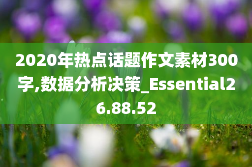 2020年热点话题作文素材300字,数据分析决策_Essential26.88.52