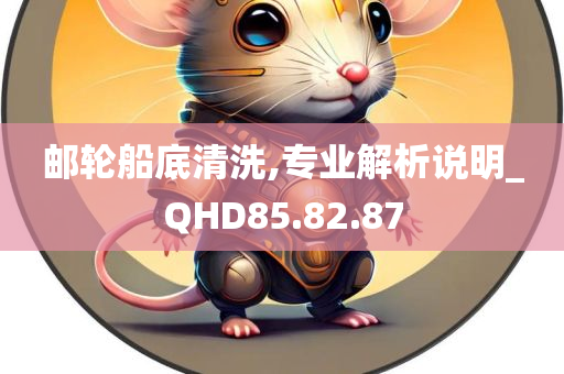 邮轮船底清洗,专业解析说明_QHD85.82.87