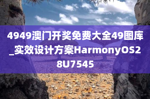 4949澳门开奖免费大全49图库_实效设计方案HarmonyOS28U7545