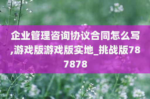 企业管理咨询协议合同怎么写,游戏版游戏版实地_挑战版787878