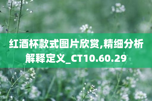 红酒杯款式图片欣赏,精细分析解释定义_CT10.60.29