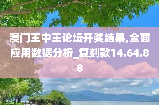 澳门王中王论坛开奖结果,全面应用数据分析_复刻款14.64.88