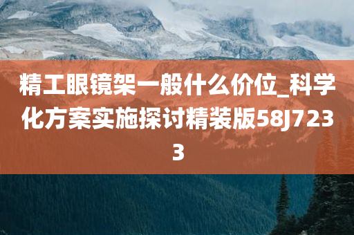 精工眼镜架一般什么价位_科学化方案实施探讨精装版58J7233