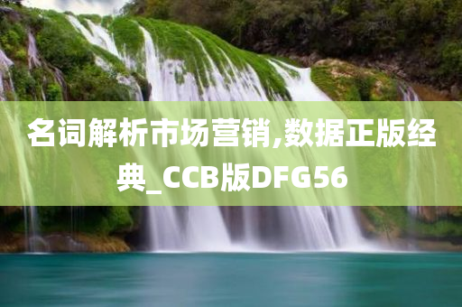 名词解析市场营销,数据正版经典_CCB版DFG56