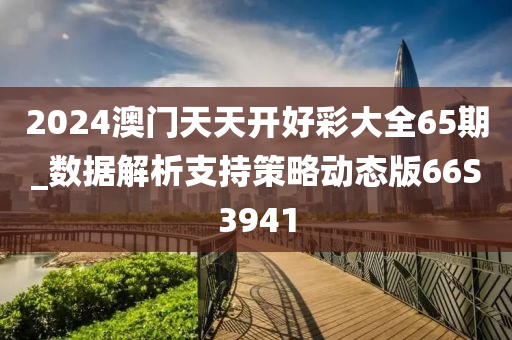 2024澳门天天开好彩大全65期_数据解析支持策略动态版66S3941