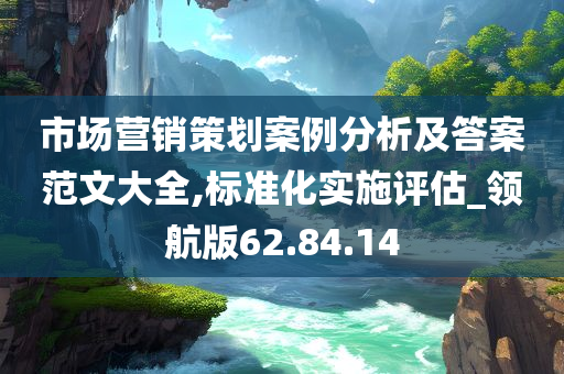 市场营销策划案例分析及答案范文大全,标准化实施评估_领航版62.84.14