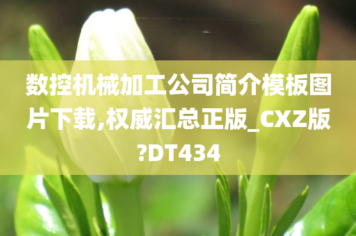 数控机械加工公司简介模板图片下载,权威汇总正版_CXZ版?DT434